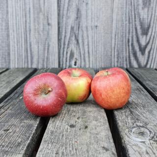Apfel Braeburn