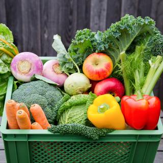 Gemüse & Obst Family