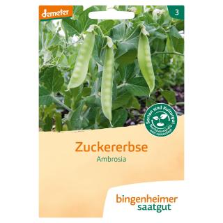 Zuckererbse
