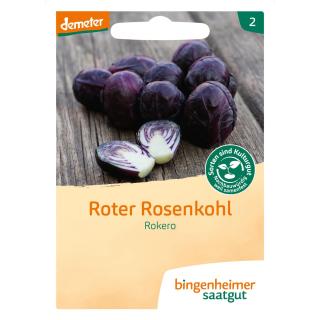 Rosenkohl rot
