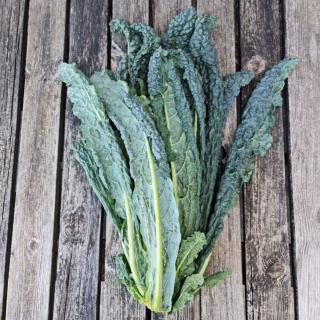 Palmkohl (Schwarzkohl)