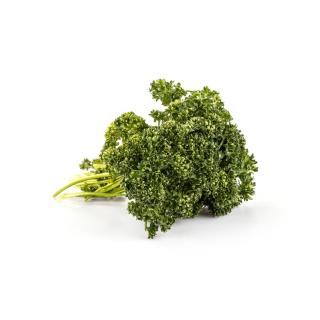 Kräuter Petersilie kraus